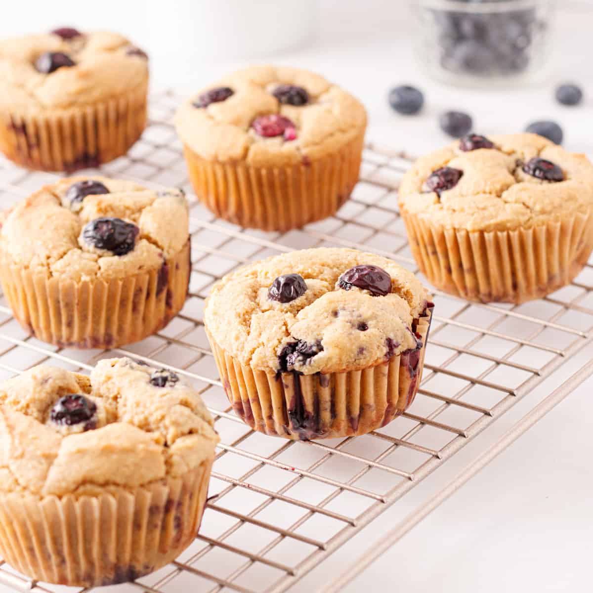 Healthy blueberry muffins on a wire cooling rack.
