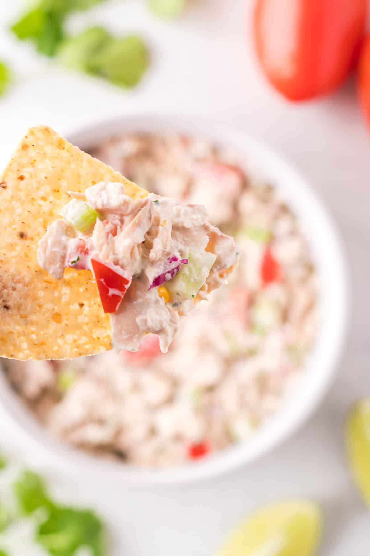 Tortilla chip with Mexican tuna salad.